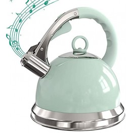 Grey Whistling Tea Kettle 2.6L Stovetop Stainless Steel Teapot with Loud Whistle Anti-Rust and Anti-heat Handle Green