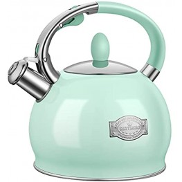RETTBERG Tea Kettle for Stovetop Whistling Tea Kettles Modern Green Stainless Steel Teapots 2.64 Quart Mint Green