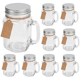 16 oz Glass Mason Jar with Handles 9 Pack Clear Retro Drinking Jars Mugs Smoothie Jars with Silver Metal Lids,Perfect For Beverages,Decoration,Storage,Party Favors Tags and Twine String As Gifts