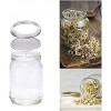 4 Pack Stainless Steel Sprouting Jar Strainer Lids Regular Mouth Mason Jar Screen Sprouting Kit Lids for Growing Bean Broccoli Alfalfa Salad Sprouts and More